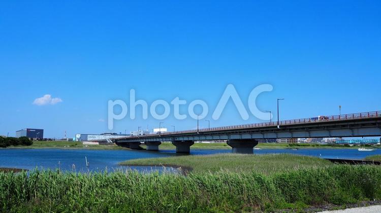 江戸川の河畔＆新行徳橋・市川市妙典駅近郊 夏,江戸川,河川敷の写真素材