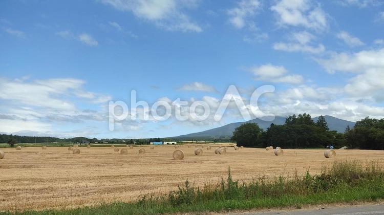 牧草ロール　北海道の景色 北海道,自然,景色の写真素材