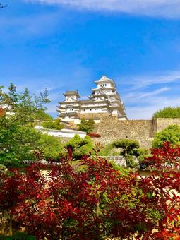 姫路城 姫路城,国宝,天守閣の写真素材