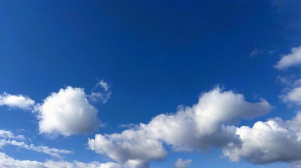 濃い青空と秋の積雲 札幌 北海道 濃い青空と秋の積雲 札幌 北海道 秋の空,青空,雲の写真素材