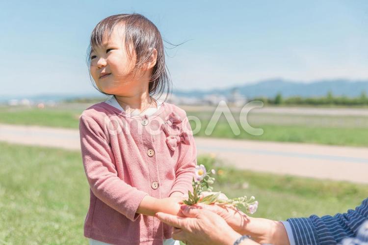 おばあちゃんに花を渡す子供（幼児・笑顔） 子供,花,孫の写真素材
