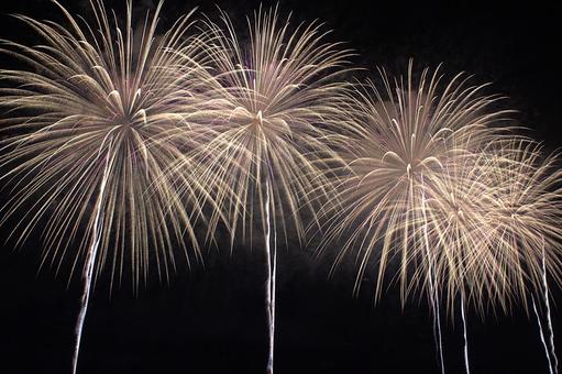 25年長岡まつり 花火 25年長岡まつり 花火の写真