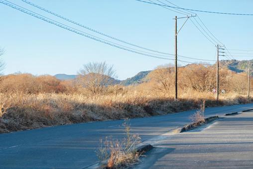 麻機遊水池、冬を感じる畔の草木 草木,木々,草むらの写真素材