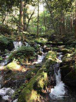 滝 滝 歴史,福井,名水の写真素材