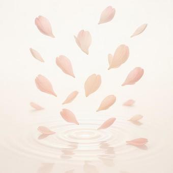 花びらと水面の波紋の写真