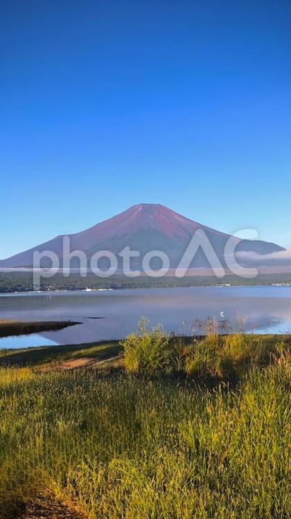 平野浜から臨む雄大な富士山と静寂の湖畔 富士山,山中湖,湖と山の写真素材