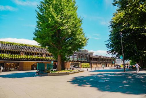 【東京】上野駅周辺 2025 【東京】上野駅周辺 2025 上野公園,上野,東京の写真素材