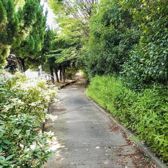 Park Path, JPG Park Path, JPG