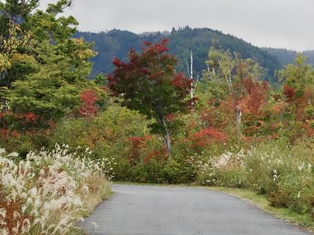 秋の風景 秋の風景 秋,風景,自然の写真素材