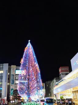 所沢駅のクリスマスツリー（埼玉県所沢市） 冬,クリスマス,イルミネーションの写真素材