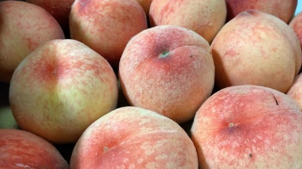 箱詰めされた桃 箱詰めされた桃 もも,桃,果物の写真素材