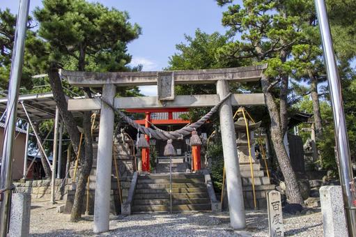 大浜稲荷社 碧南市 大浜稲荷社,碧南市,神社の写真素材