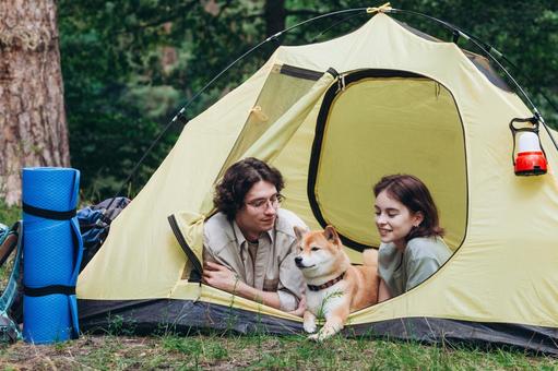 テントの中で犬とくつろぐ男性と女性 男女,外国人,犬の写真素材