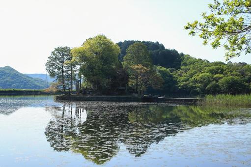 Photo, shuhin shrine, a shrine, trees, 