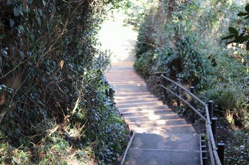 猿島 階段 猿島 階段 猿島,階段,要塞跡の写真素材