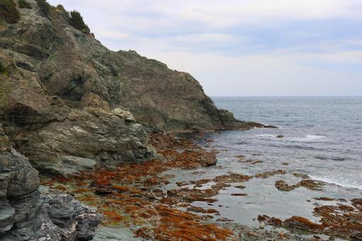 Photo, sea, coastal, rock, 