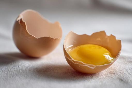 割れた卵と中身の黄身の写真