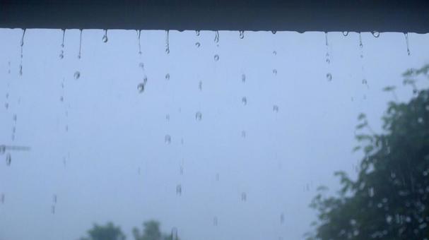 屋根から滴る雨 屋根から滴る雨の写真