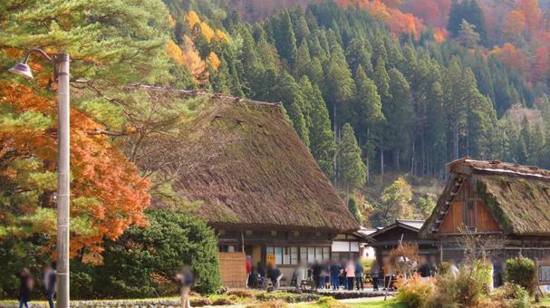 白川郷 白川郷,世界遺産,茅葺きの写真素材