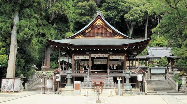 日牟禮八幡宮 拝殿 日牟禮八幡宮 拝殿 日牟禮八幡宮,拝殿,木造入母屋造りの写真素材