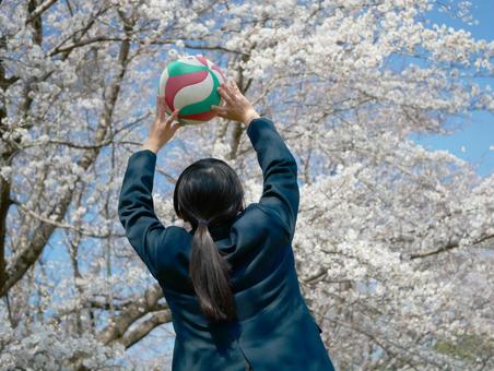 バレーボールで楽しむ女の子 バレーボールで楽しむ女の子の写真