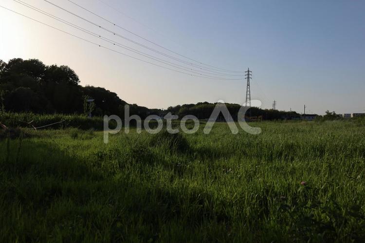田舎の夕方 田舎,夕方,公園の写真素材