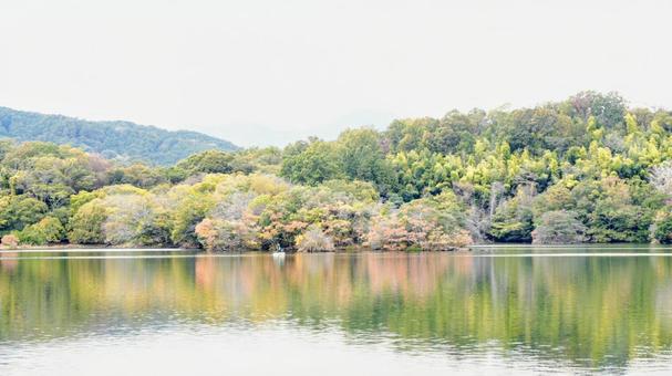 伊豆一碧湖 紅葉のはしりの写真