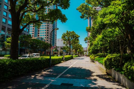 【神奈川】横浜の街並み 2025 【神奈川】横浜の街並み 2025の写真