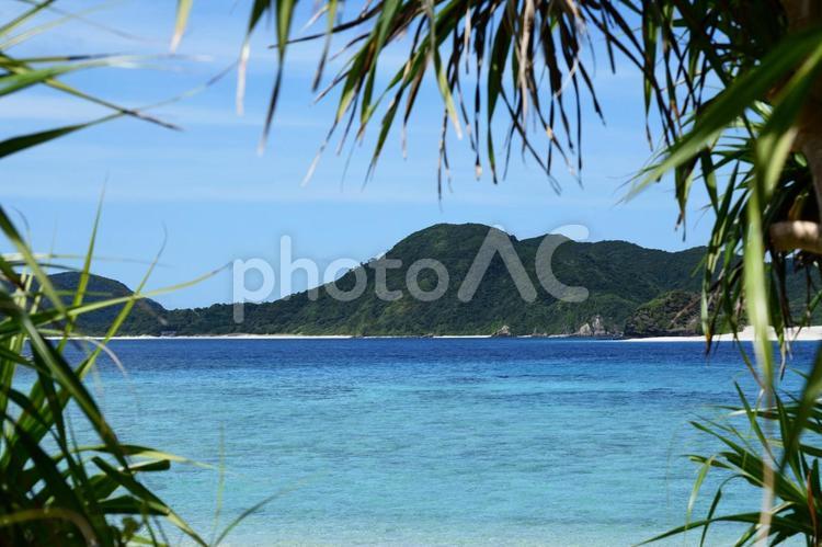 沖縄　美しい海の風景 海,日本,沖縄の写真素材