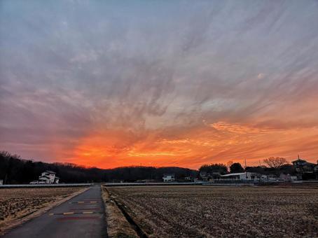 前橋の田園 前橋の田園の写真