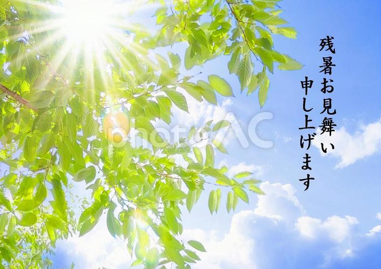 残暑お見舞い 残暑お見舞い,夏のご挨拶,季節の挨拶の写真素材