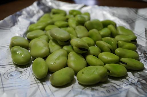 ソラマメ 3の写真