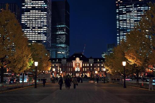 夜の行幸通りから見る東京駅丸の内駅舎 行幸通り,東京駅,丸の内駅舎の写真素材