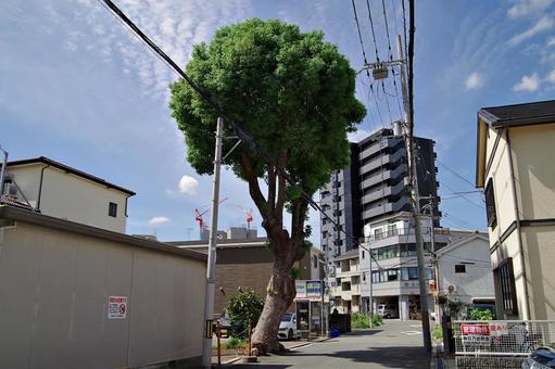 大阪都心近くの住宅街風景 町角,道路,隘路の写真素材