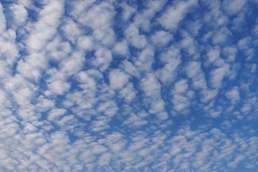 ひつじ雲 ひつじ雲,空,自然の写真素材