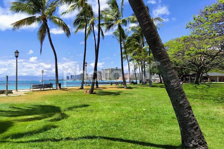 ヤシの木が並ぶビーチパーク ヤシの木,ビーチ,海の写真素材