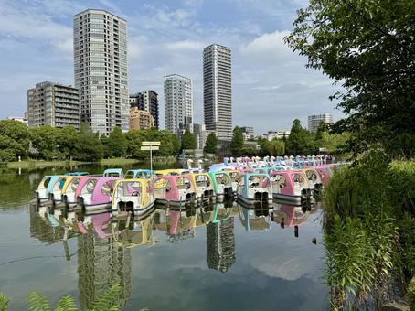 Photo, ueno, boat pond, summer, 