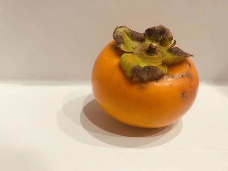 柿 柿,枝付き柿,もぎたての写真素材