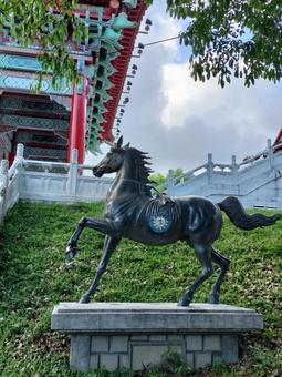 花蓮忠烈祠(旧花蓮港神社) の神馬 花蓮忠烈祠(旧花蓮港神社) の神馬の写真