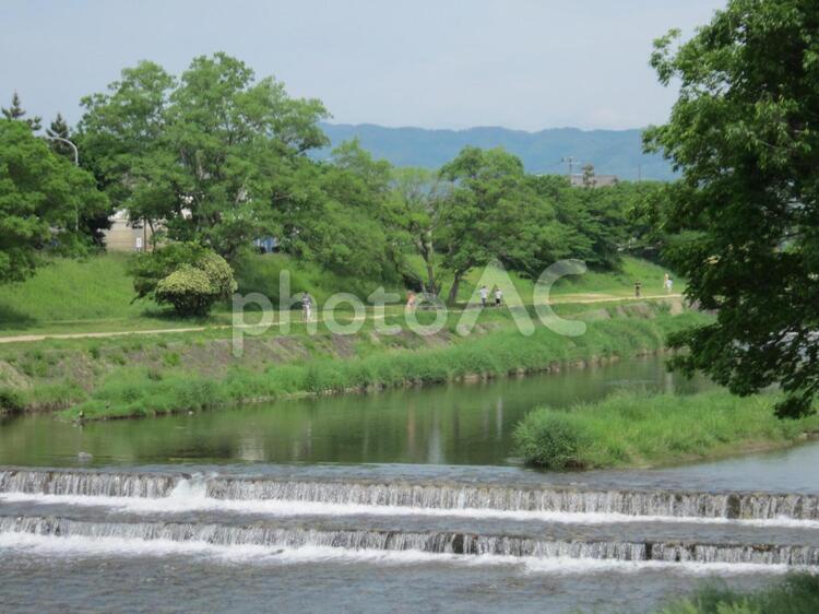 賀茂川にかかる橋から北を眺める 賀茂川,鴨川,流れるの写真素材