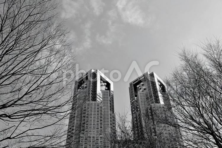 都庁１　モノクロ コピースペース,ビル,モノクロの写真素材