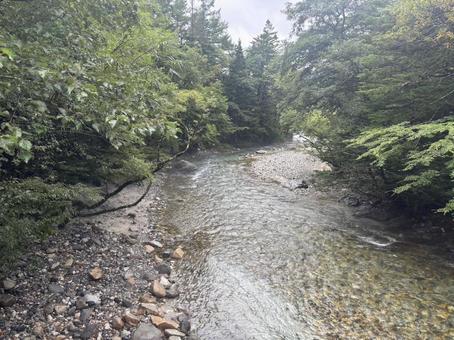 川の自然風景 川の自然風景の写真