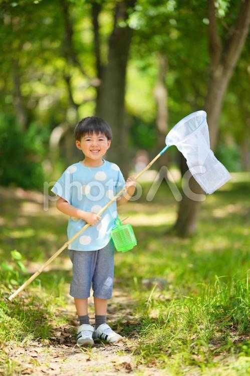 虫取りをする男の子 男の子,日本人,ポートレートの写真素材