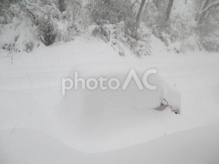 大雪の朝 大雪,冬,厳冬の写真素材