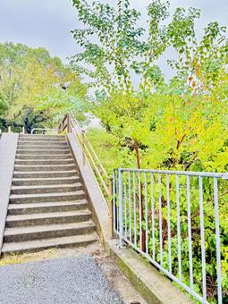 雨の日の階段 階段,登る,下るの写真素材