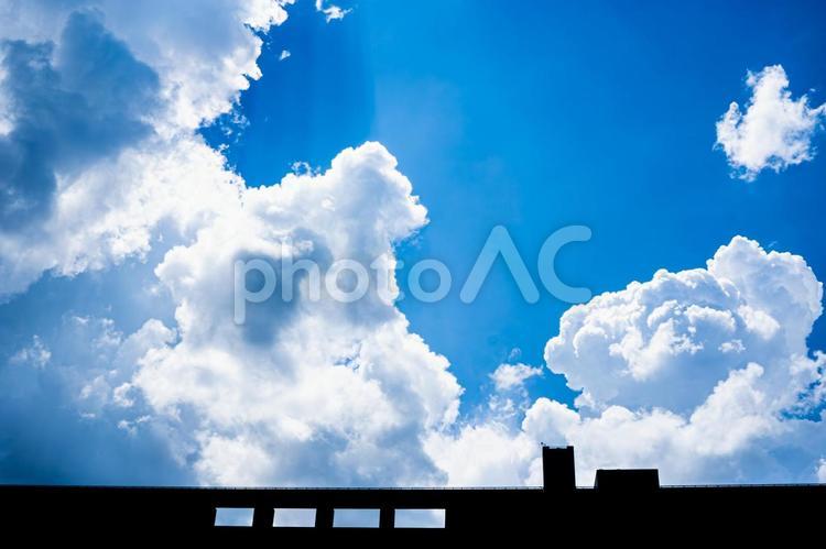 夏の青空とダムの堤体 ダム,堤体,青空の写真素材