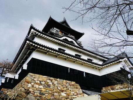 国宝犬山城天守を見上げる 犬山城,犬山市,城の写真素材