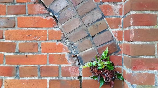 やや古いレンガ塀・3 レンガ,塀,壁の写真素材