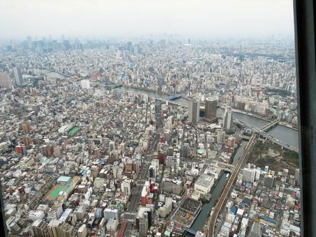 スカイツリーからの風景 スカイツリーからの風景の写真