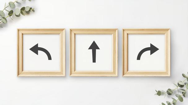 人生の岐路 ユーカリ 植物の飾り 白背景 人生の岐路 ユーカリ 植物の飾り 白背景 フレーム,3つ,矢印の写真素材